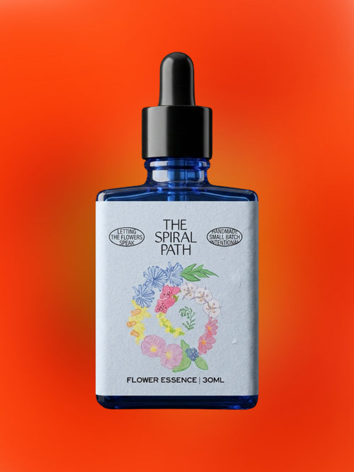 Nasturtium Flower Essence
