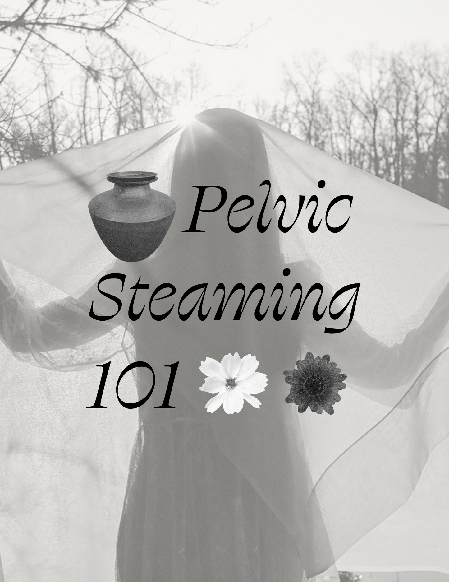 Pelvic Steaming 101 Guide
