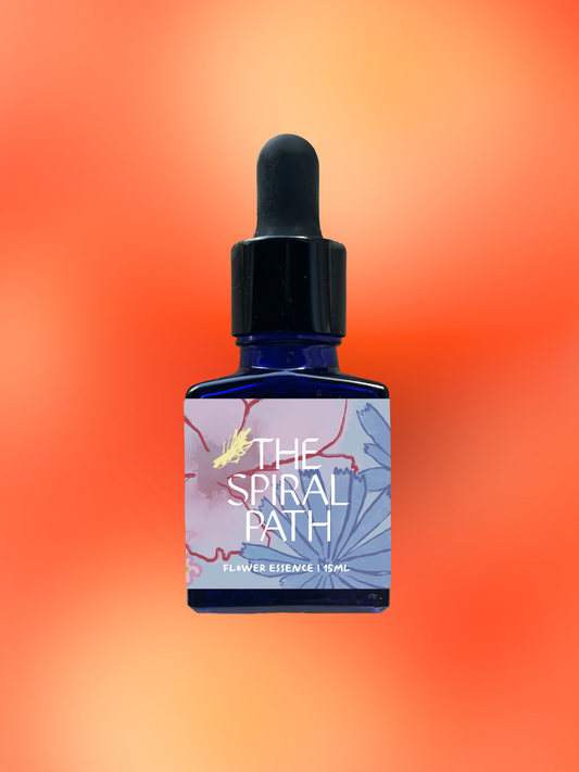 Small batch organic flower essence - feminine healing, 15mL, blue glass bottle with dropper. This essence supports emotional healing and is a sensitive medicine for sensitive people. 