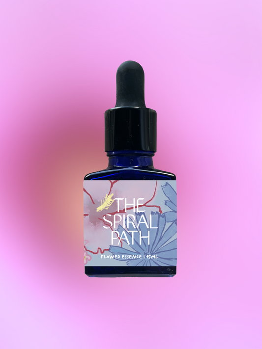 Small batch organic flower essence - feminine healing, 15mL, blue glass bottle with dropper. This essence supports emotional healing and is a sensitive medicine for sensitive people. Rose of Sharon flower essence connects us to the purity that resides at the center of all of our hearts. When we need to be reminded of our innate divinity and that we're perfect the way we are, we can rely on the energy of this flower to bring us back into balance.