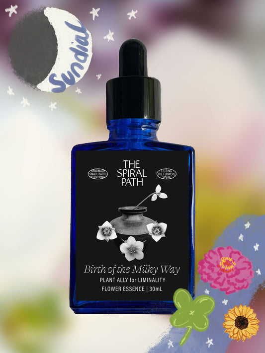 Birth of the Milky Way