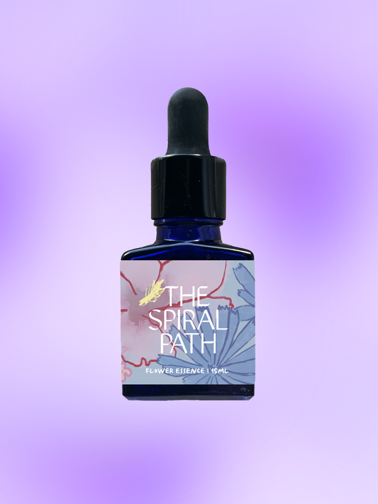 Small batch organic flower essence - feminine healing, 15mL, blue glass bottle with dropper. This essence supports emotional healing and is a sensitive medicine for sensitive people. Spiderwort flower essence helps us cultivate healthy discernment, so that we can differentiate being drawn to a situation by our wounding or being drawn by our internal compass.

