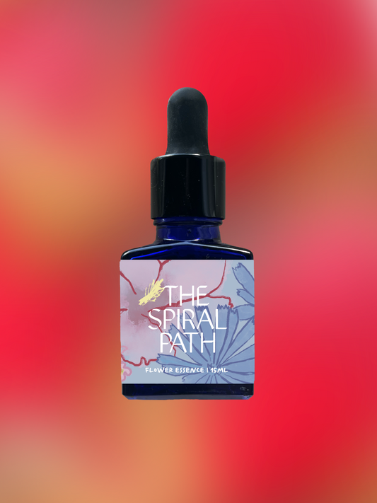 small batch organic flower essences in 15mL blue glass bottle with a dropper, feminine healing, sensitive medicine, flower essence for body and spirit alignment, Trillium plant ally provides emotional benefits of grounding and stability. It opens up an eternal access point to the wisdom of the trinity within you—maiden, mother, and crone—and teaches you to move in time with the Earthly cycles. 