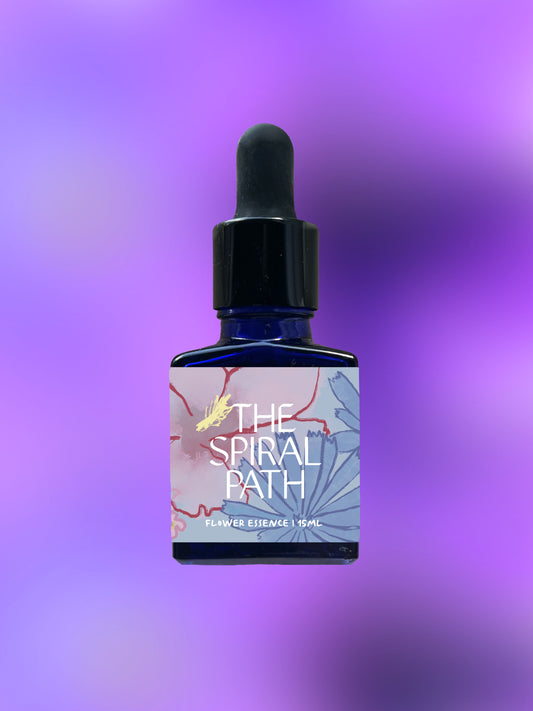 Venus's Looking Glass Flower Essence