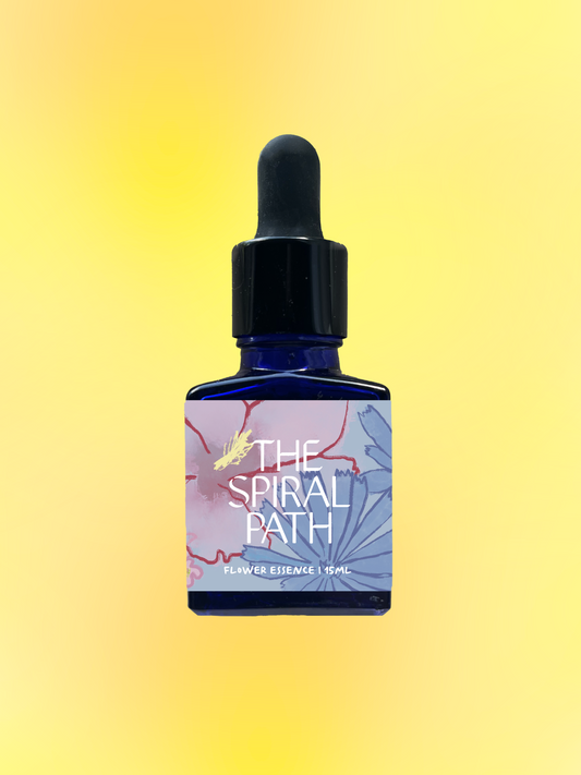small batch organic flower essences in 15mL blue glass bottle with dropper - feminine healing, sensitive medicine, flower essence for authentic truth, Wood Sorrel plant ally offers emotional support for  understanding one's unique gifts  