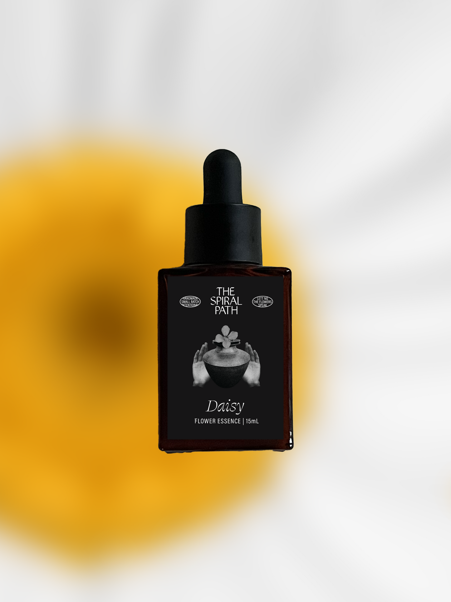 Daisy Flower Essence