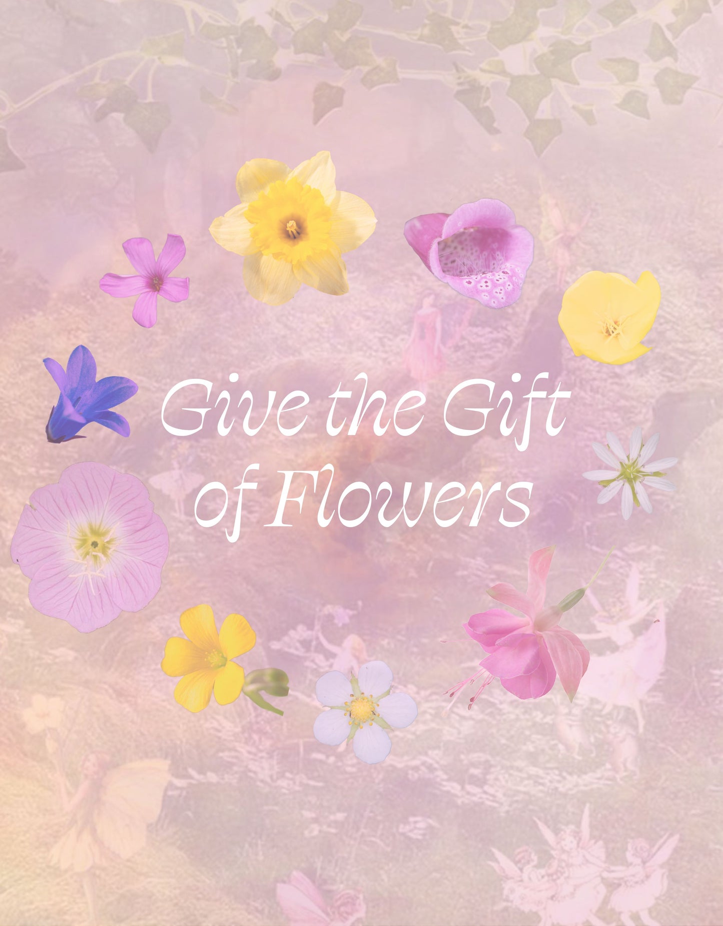 TSP Gift Card