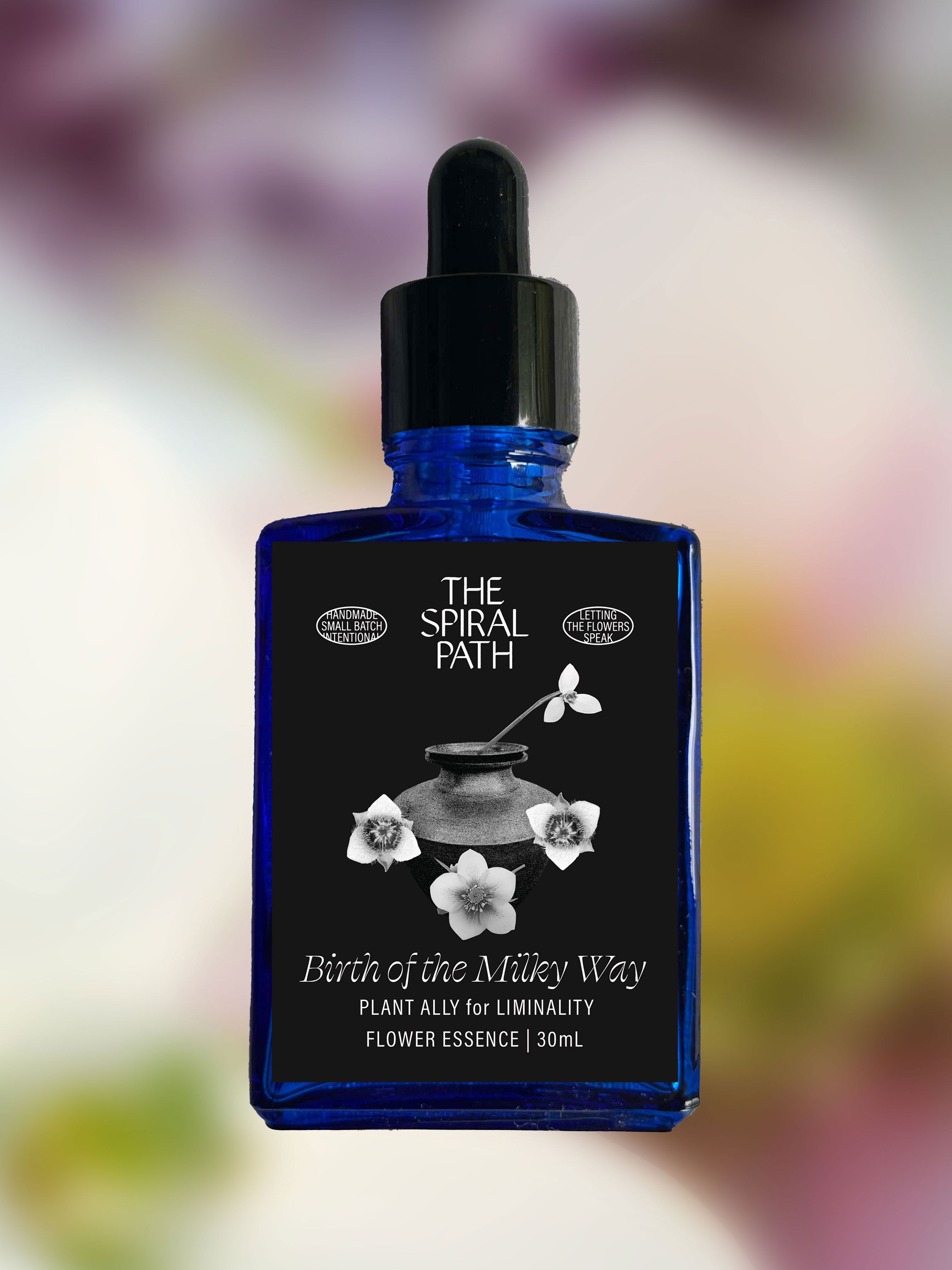 Birth of the Milky Way