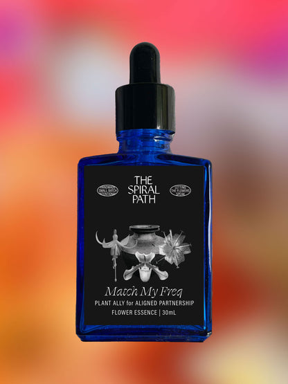 Small batch organic flower essence - feminine healing, 15mL, blue glass bottle with dropper. This essence supports emotional healing and is a sensitive medicine for sensitive people. Match My Freq flower essence is a plant ally for aligned partnership. Fuchsia, Lady Slipper, Tiger Lily. 
