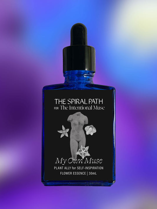 Small batch organic flower essence - feminine healing, 15mL, blue glass bottle with dropper. This essence supports emotional healing and is a sensitive medicine for sensitive people. My Own Muse flower essence is a plant ally for self-inspiration. Delphinium, Columbine, Venus's Looking Glass.