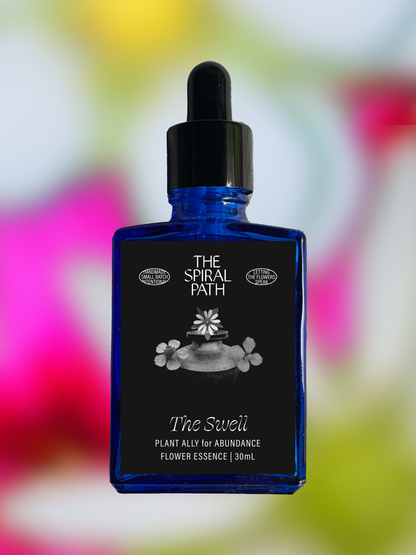 Small batch organic flower essence - feminine healing, 15mL, blue glass bottle with dropper. This essence supports emotional healing and is a sensitive medicine for sensitive people. The Swell flower essence is a plant ally for abundance. Chickweed, Strawberry blossom, Lunaria. 
