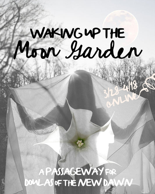 Waking Up the Moon Garden