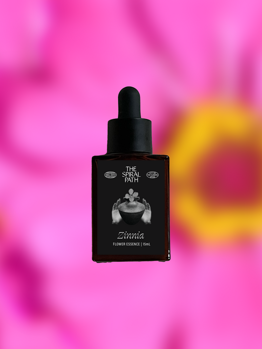 Zinnia Flower Essence